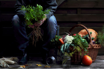 девушка с петрушкой и корзиной овощей