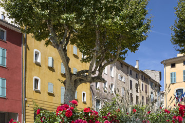 France, Provence, Lorgues: Park, trees, flowers and colorful house facades in the center of an old small French village