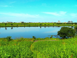 土手から見る江戸川と三郷市街風景