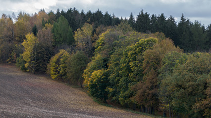 Herbstlandschaft