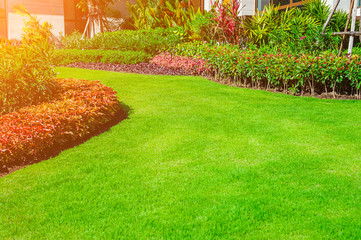 Obraz premium Green lawn, the front lawn for background,garden landscape design