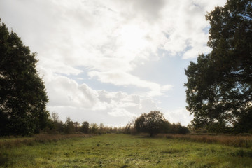 Obraz premium Sun and clouds, in front of it a green meadow