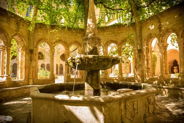 Photo sur Plexiglas Fontaine Architecture historique - Fontaine de l& 39 abbaye de Valmagne, France