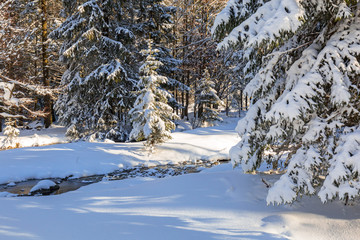 Beautiful scenery of Tatra mountains at snowy winter, Poland