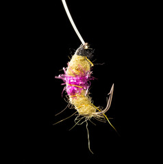 fly to catch fish on a black background