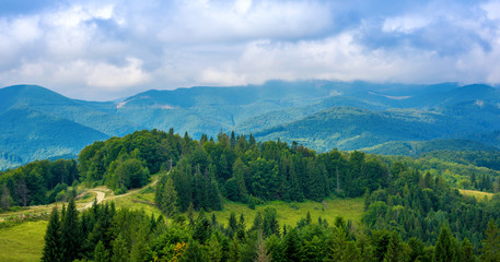 Obraz premium Photo of green forest and valley in Carpathian mountains