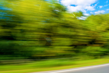 Photo of blurred green plants, motion background