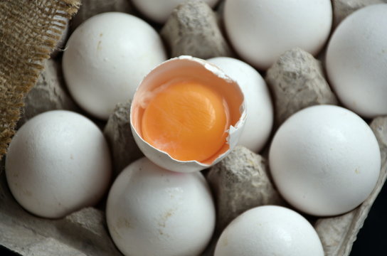 Organik yumurta