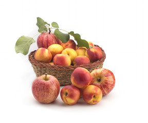 Apples and nectarines on a white background