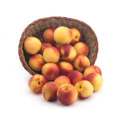 Naklejka na ściany i meble Apricots in a basket of straw on a white background