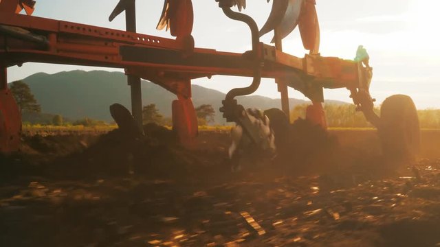 Close-up tracking shot of plow turning over soil in amazing sunset light. 
