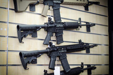 Gun wall rack with rifles
