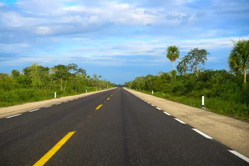 Foto op Plexiglas 305D weg in de buurt van Playa del Carmen Mexico © lunamarina