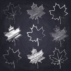 Chalk drawn maple leaf on chalkboard background.
