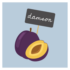 Vector Fruit - Damson - 177902281