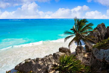 Tulum turquoise beach  palm tree in Riviera Maya at Mayan