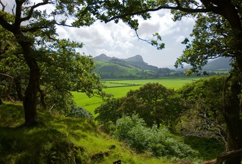 The Mystery Of Wales 