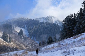 Man stands affront massive mountains in snow and forest under sky with low white clouds.