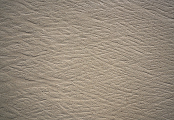texture background sand in the beach