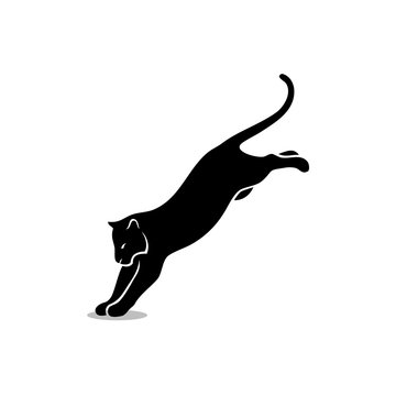 Jumping tiger