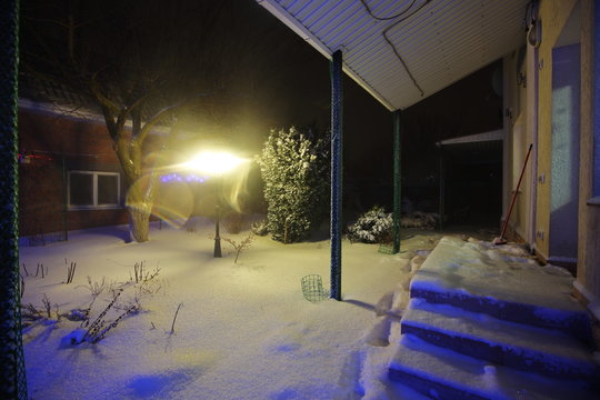 Snow covered garden in the backyard, winter night time.