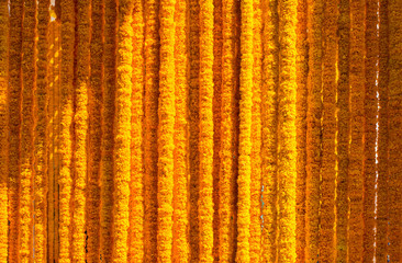 Many yellow flowers are knit to decorate the beautiful backdrop and the light from the sun.