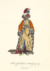 Fototapeta na wymiar Black Sultaness in traditional dresses in 1749. Orange cloak, gold tunic, turban with feathers. Old watercolor illustration By J.M. Vien, T. Jefferys, London, 1757-1772
