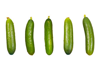 fresh tiny cucumber on isolated white background composition photography