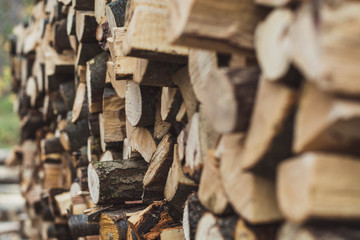 Stacked chopped wood for the winter.