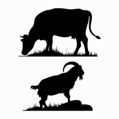 A cow and a goat with big horns in profile. Silhouettes of adult pets isolated on white background.