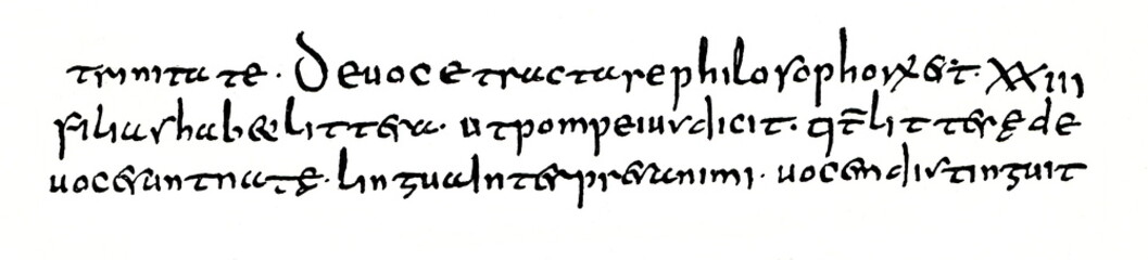 Transition from roman half uncial and insular scrip to carolingian minuscule, 8th century (from Meyers Lexikon, 1896, 13/420/421)