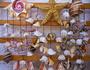 seashell mobile wind chime hanging mexico