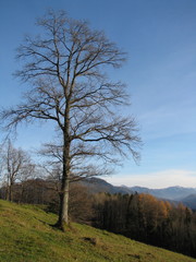 Hohe Dirn - Ennstal - Austria