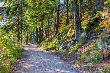 Fototapeta premium Autumn landscape - Black Forest. A small lake in the high mountains of the Black Forest in autumn.