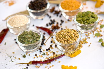 A vibrant assortment of spices, including coriander seeds, cardamom, black pepper, mustard seeds, white sesame, and dried fenugreek leaves, artfully arranged with red chilies on a white background