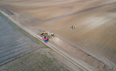 Sugar beet harvest