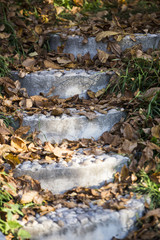 Fototapeta na wymiar Stone stair with fallen leaves