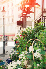 Fototapeta na wymiar Vienna. Austria. Blurred background of a cityscape. Focus on a beautiful basket with flowers.