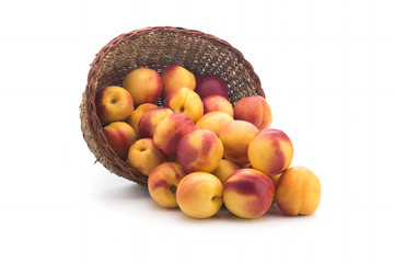 Small nectarines in a basket of straw on a white background