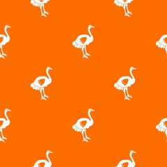 Ostrich pattern seamless