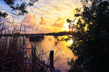 Mangroove sunset in Riviera Maya