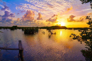 Mangroove sunset in Riviera Maya