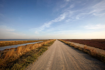 Landscape of Evros river in Greece.