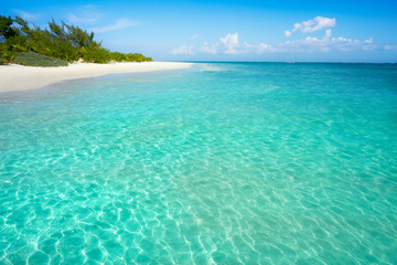 Fototapeta na wymiar Riviera Maya Caribbean beach turquoise Mexico