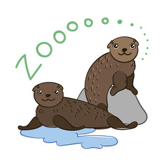Illustration of doodle cute fur seals, hand drawn graphic