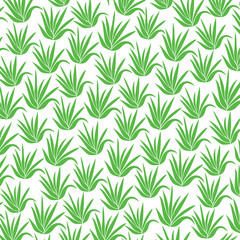 background pattern with aloe plant icons