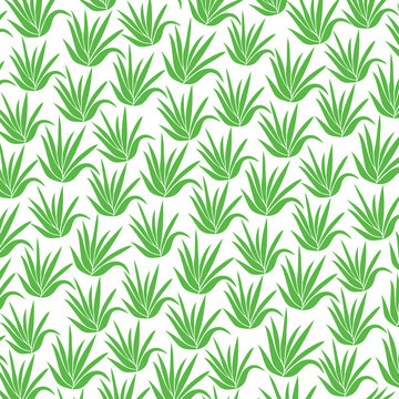 Background Pattern With Aloe Plant Icons