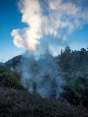 Geothermal steam fissure with sunlight shining through steam