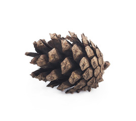 Cones on a white background