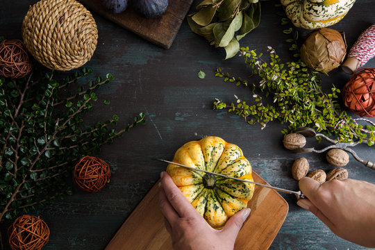 Different Sorts Of Autumnal Leaves And Crops  And A Squash